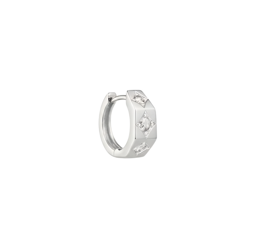 Aurielle Hoops
