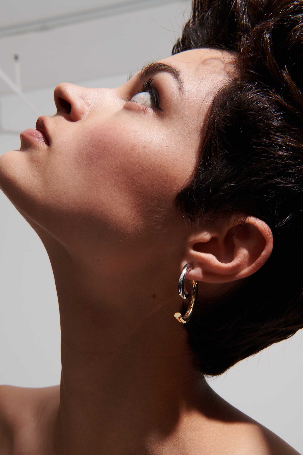 Luna Two-Tone Earrings