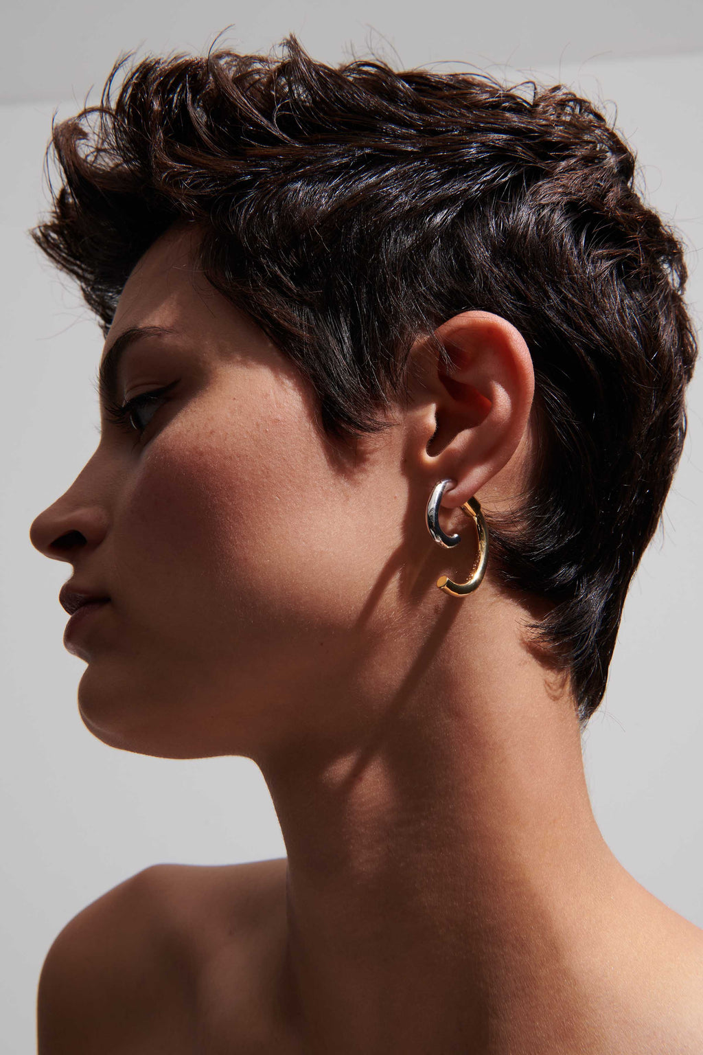 Luna Two-Tone Earrings