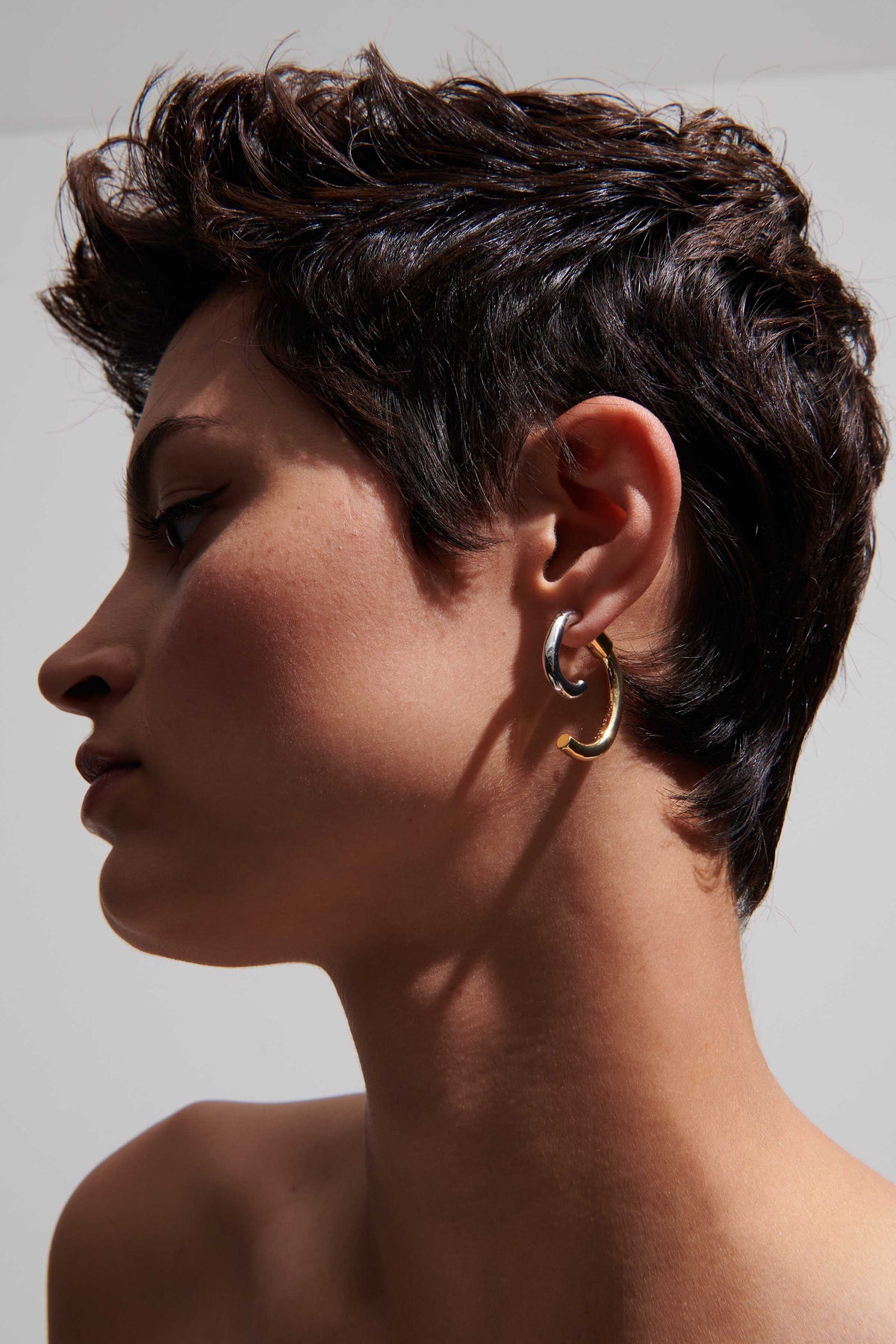 Luna Two-Tone Earrings
