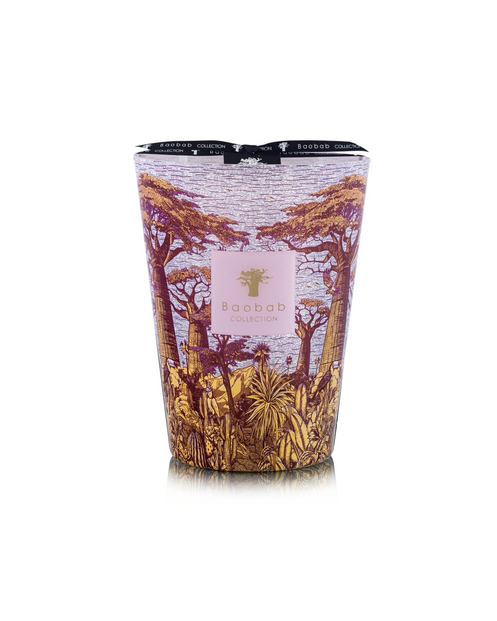 Baobab Collection Massasso Sacred Trees Max 24 Candle
