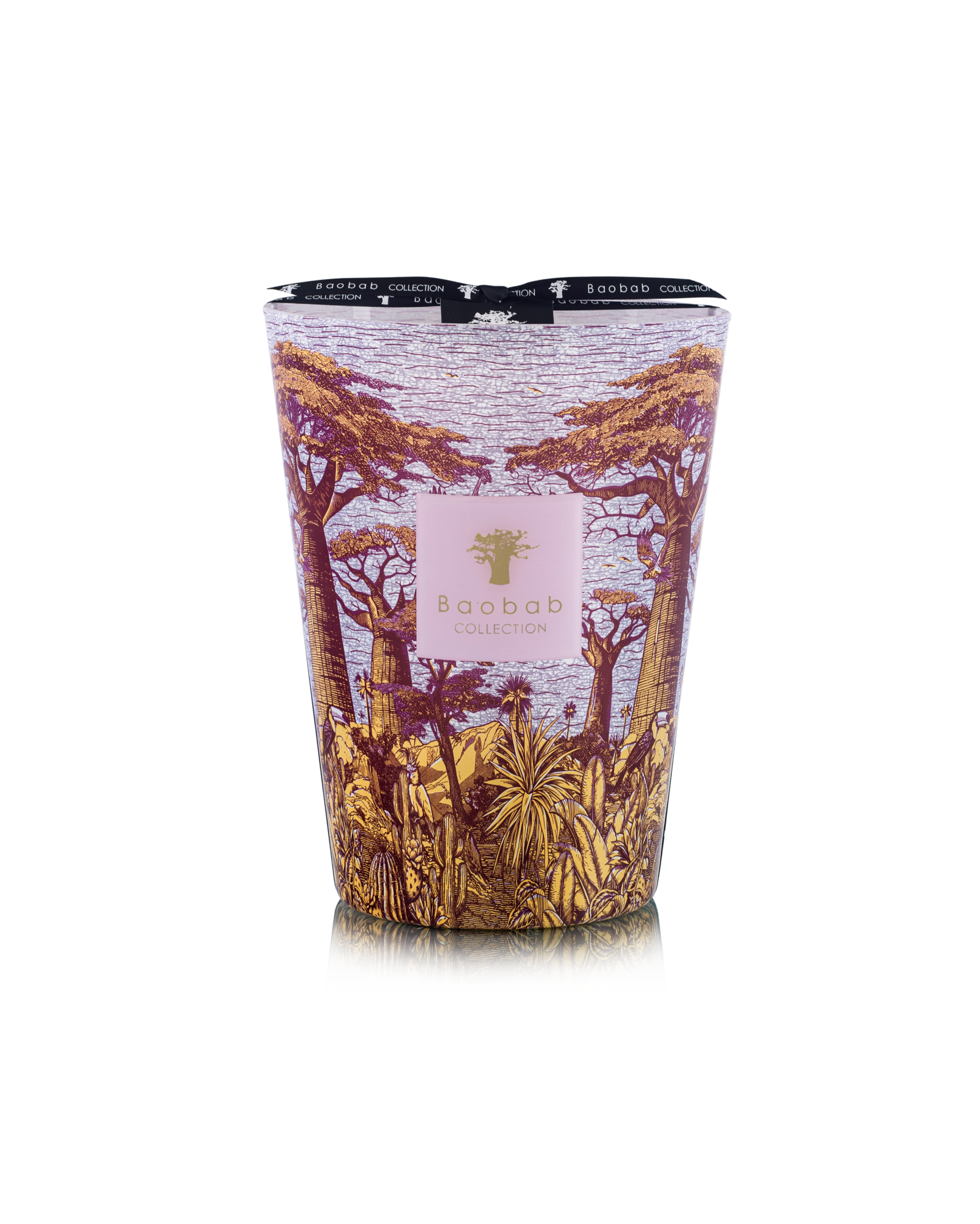 Baobab Collection Massasso Sacred Trees Max 24 Candle